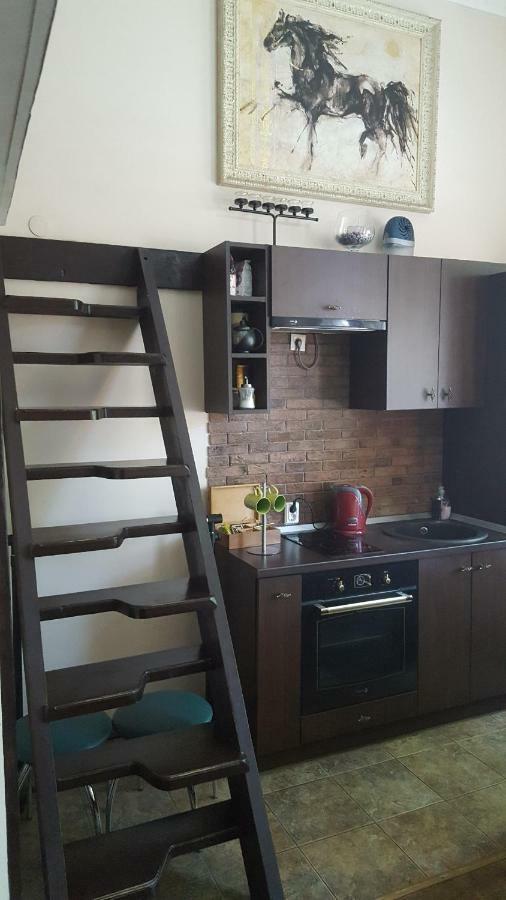 Old Wine House Apartment Klaipeda Luaran gambar